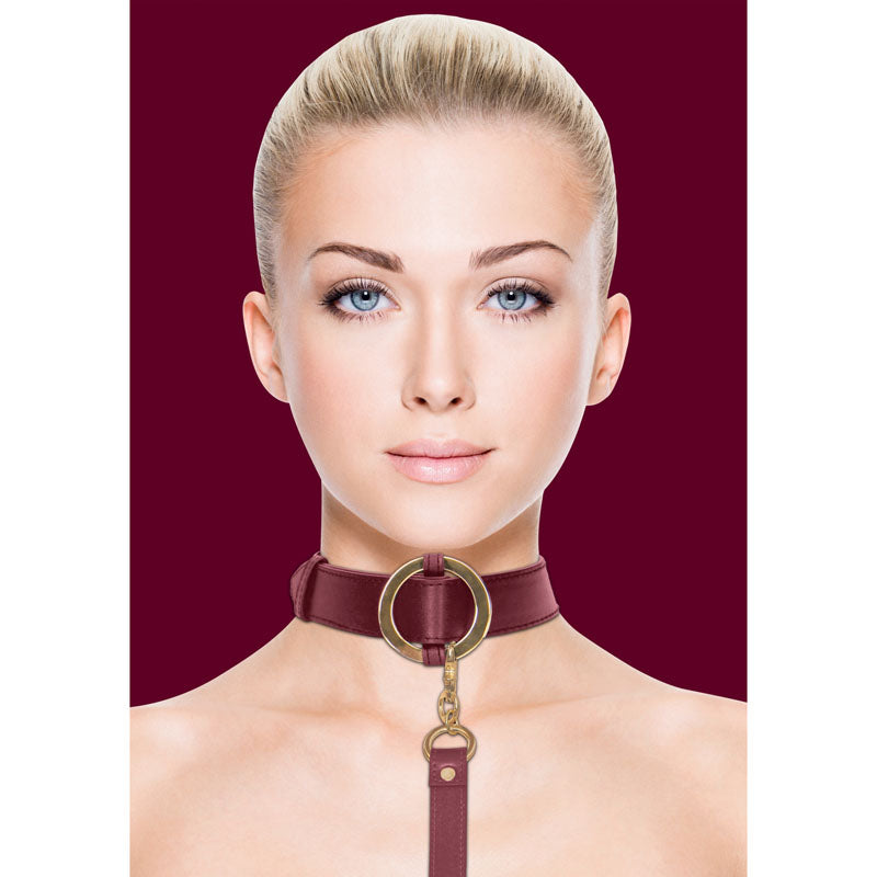 OUCH! Halo - Adjustable Collar with Leash - Burgundy Pet Restraint for Safe Play