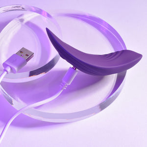 Playboy Our Little Secret Remote Panty Vibrator – image 9