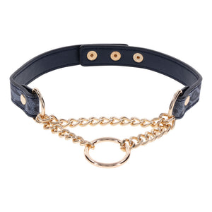 Sex & Mischief Cougar navy and gold day collar – image 4