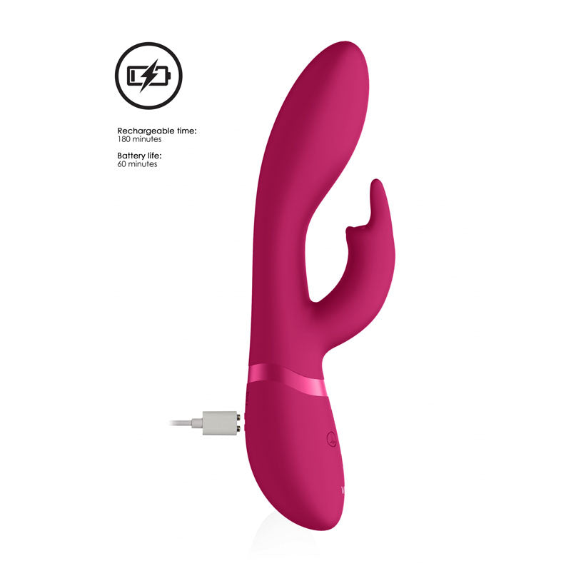 Vive Rabbit Vibrator – USB Rechargeable, Body-Safe Silicone – Pink – 21.3 cm