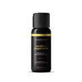 Wicked Sensual Massage Oil - Vanilla & Sugarcane - 120 ml Tube - Body-Safe, Aromatic Massage Oil for Relaxation and Wellness