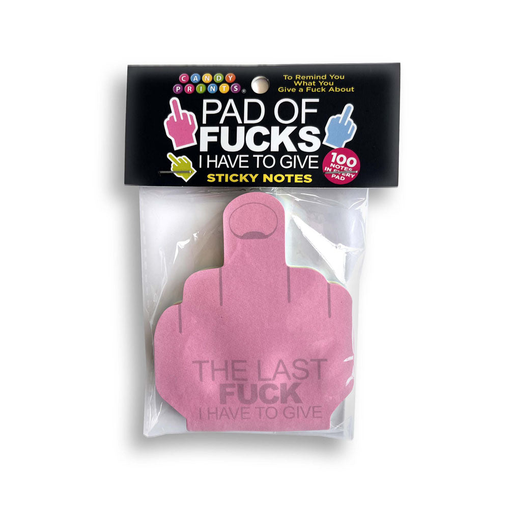 Last Fuck I Have To Give Novelty Sticky Notes – Multi-Coloured Reminder Notes (100 Pack, Fun Office Supplies)