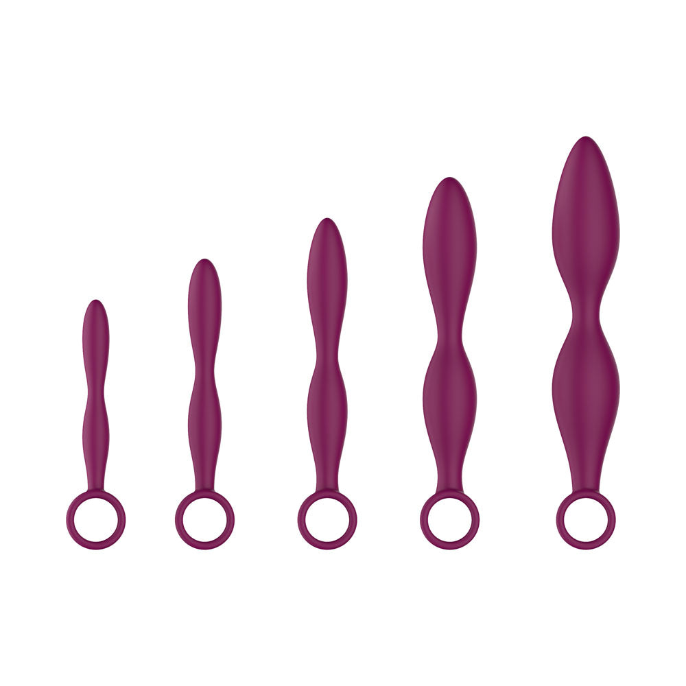 Passion Play Kegel Toys – Body-Safe Silicone – Purple – Set of 5 Sizes
