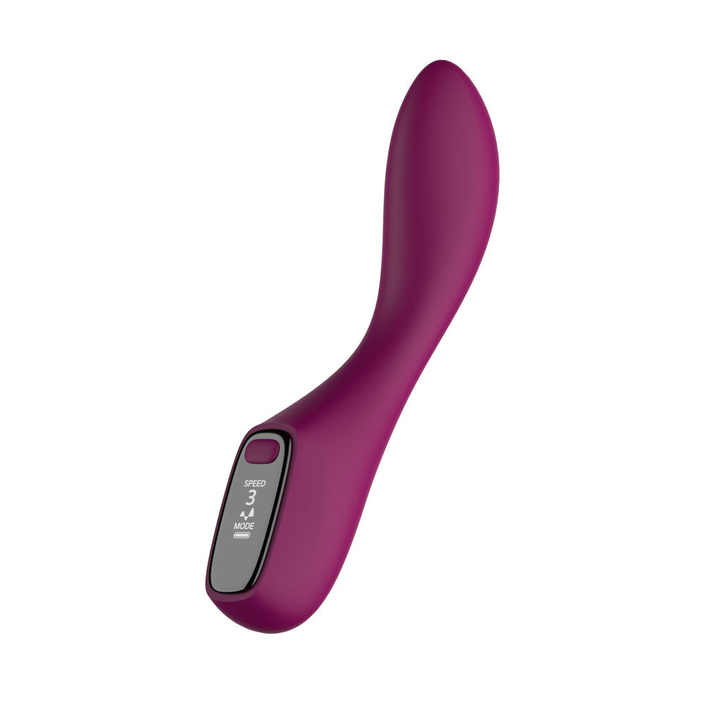 Passion Play G-Spot Vibrator – Rechargeable, Body-Safe Silicone – Purple – 19.2 cm