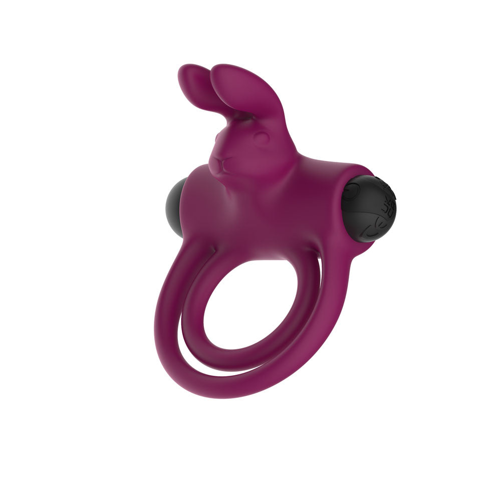 Passion Play Cock Ring – Rechargeable, Body-Safe Silicone – Purple