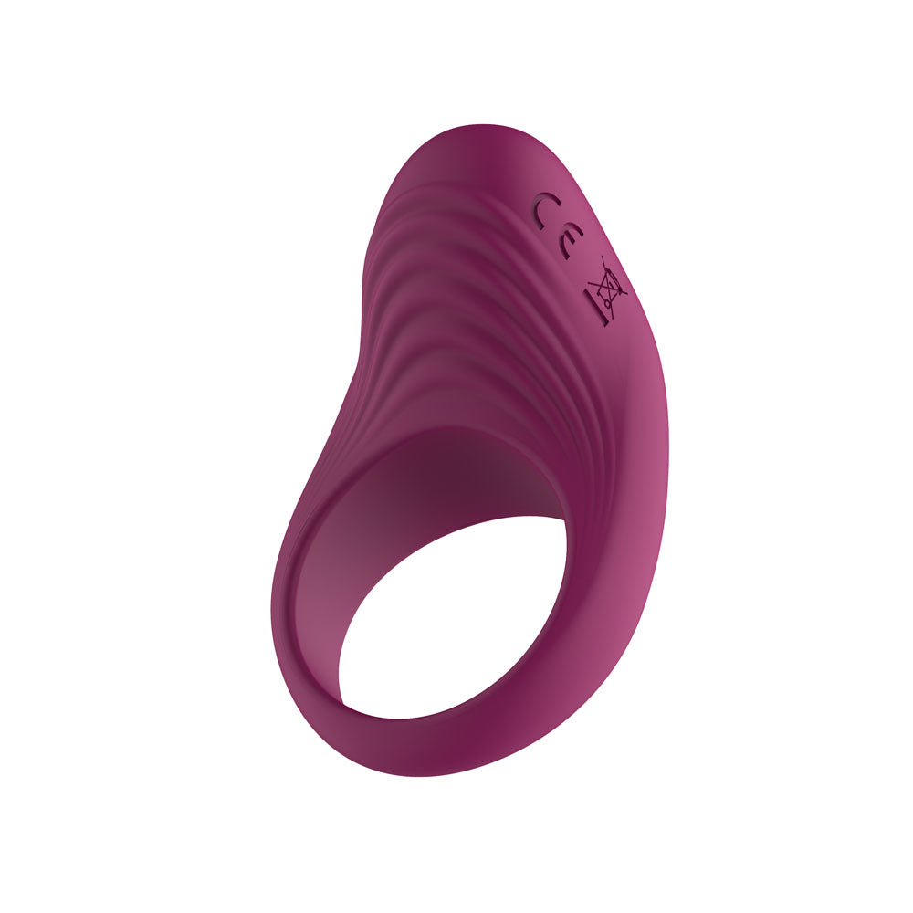 Passion Play Cock Ring – Vibrating, Body-Safe Silicone – Purple