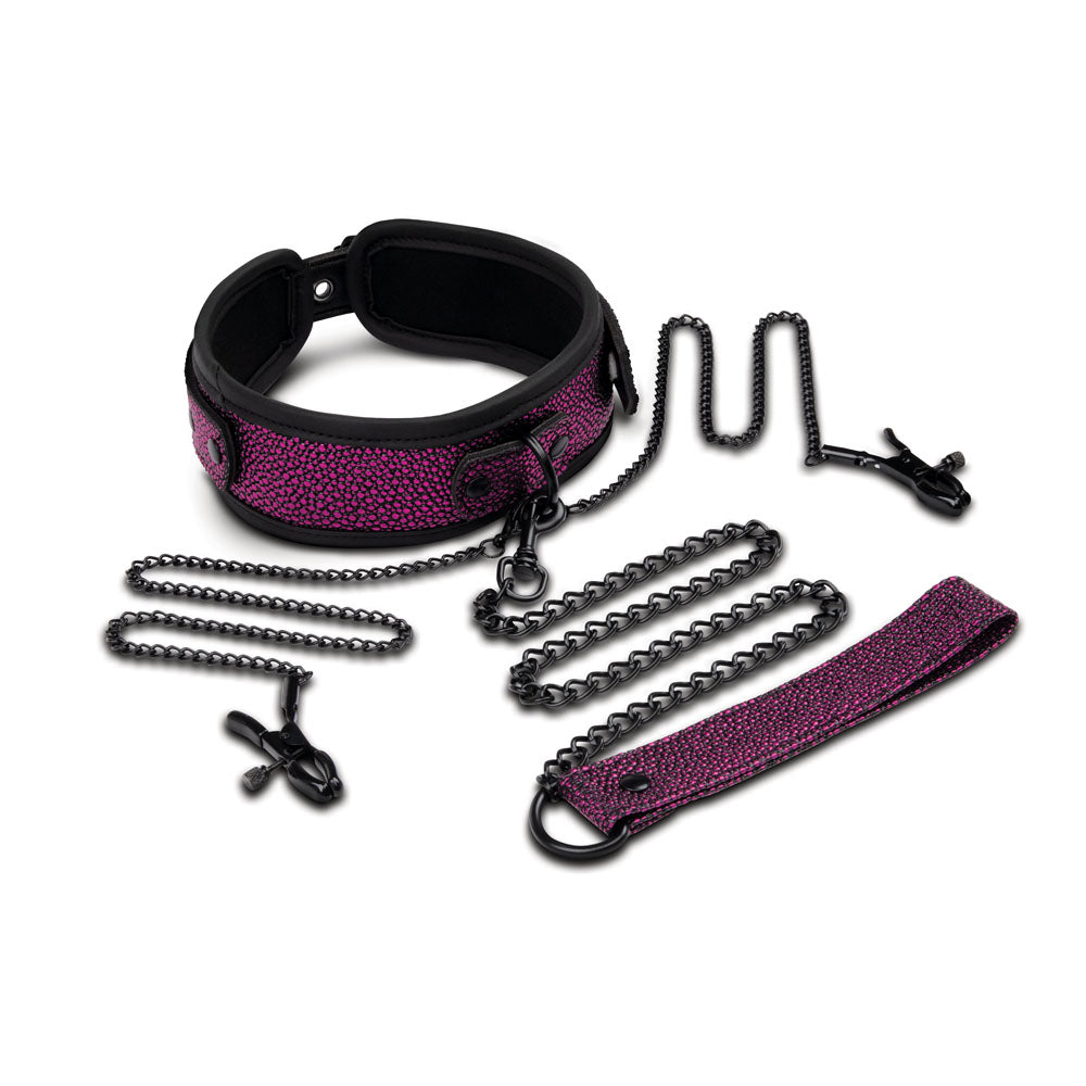 WhipSmart Bondage Set – Collar, Leash & Nipple Clips – Purple/Black