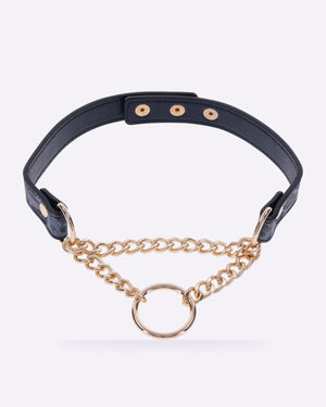 Sex & Mischief Cougar navy and gold day collar